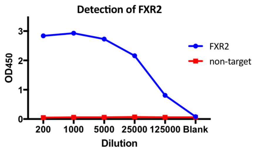 AVS Bio - human human fragile X mental retardation syndrome-related protein 2 antibody