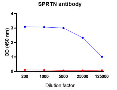 AVS Bio - human anti-SprT-like N-terminal domain antibody