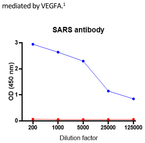 AVS Bio - human seryl-tRNA synthetase antibody