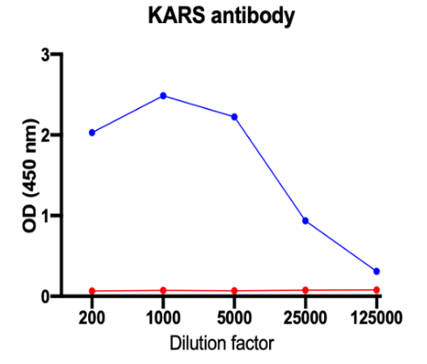AVS Bio - human anti-lysyl-tRNA synthetase antibody
