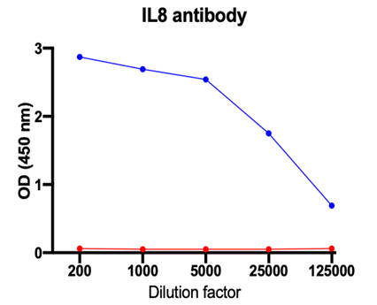 AVS Bio - human anti-Interleukin 8 antibody