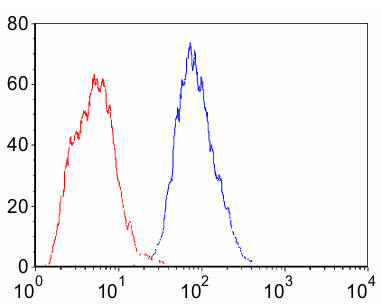 AVS Bio - human anti-matrix metallopeptidase-14 antibody