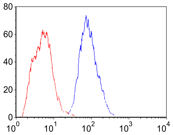AVS Bio - human matrix metallopeptidase-14 antibody