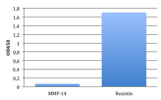 AVS Bio - human anti-resistin antibody