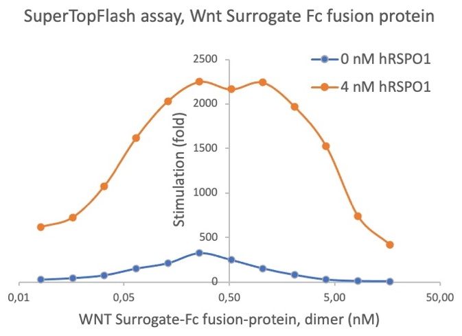 AVS Bio - WNT Surrogate-Fc Fusion Protein