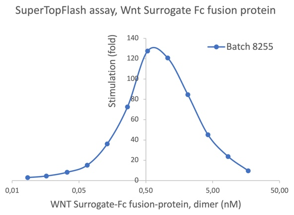 AVS Bio - WNT Surrogate-Fc Fusion Protein