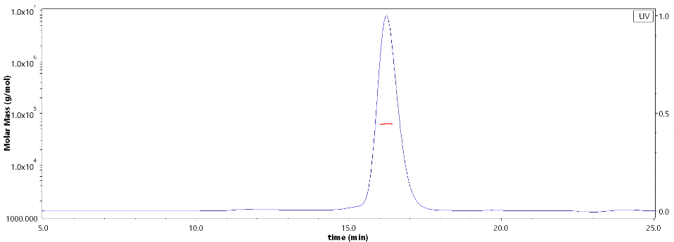 Human Hyaluronidase PH-20 Protein