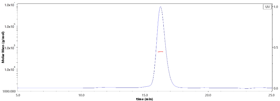 Human PH20 / SPAM1 Protein