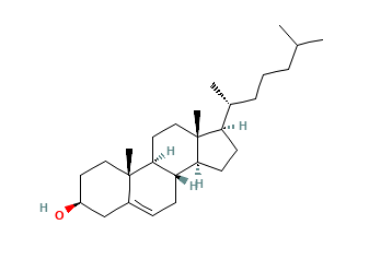 Cholesterol