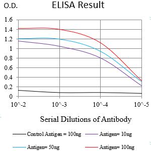 CD147 Antibody