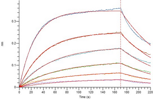 COVID-19 S Protein RBD (Omicron, BA.2)
