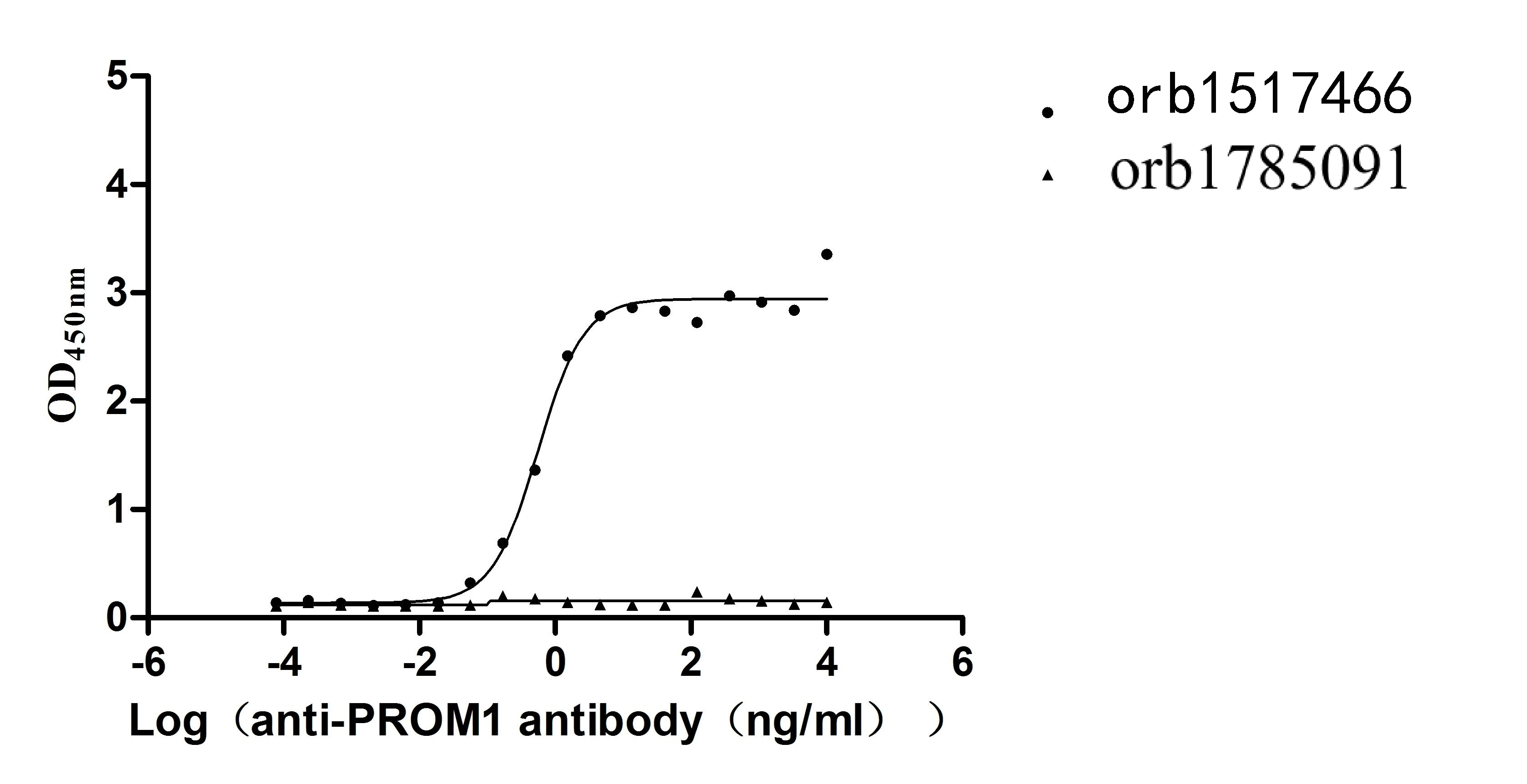 Human PROM1-VLPs Protein