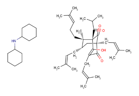 Hyperforin dicyclohexylammonium salt