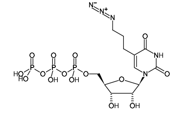 5-Azido-C3-UTP