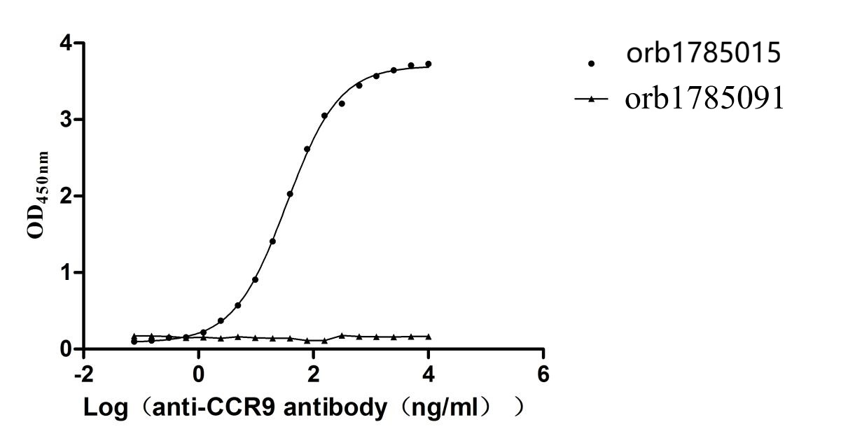 Recombinant Human C-C chemokine receptor type 9 (CCR9)-VLPs (Active)