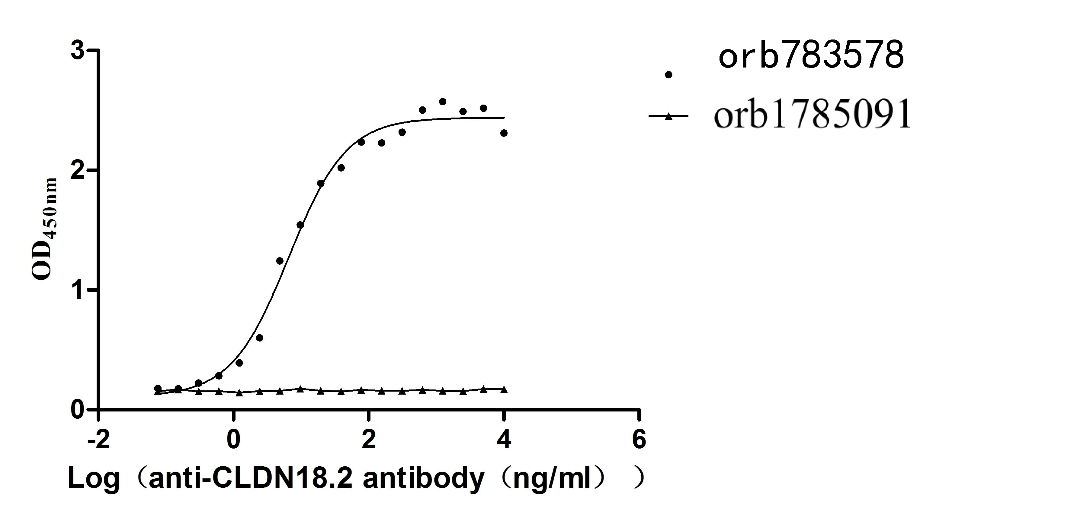 Recombinant Human Claudin-18.2 (CLDN18.2), Fluorescent-VLPs (Active)