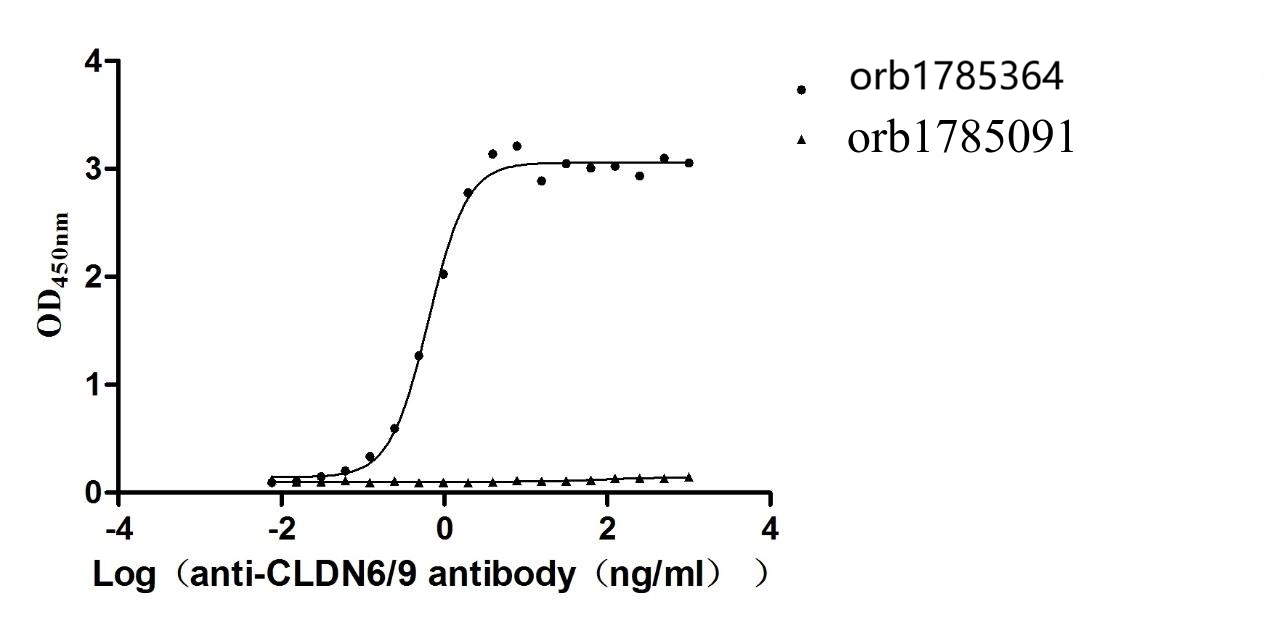 Recombinant Human Claudin-6 (CLDN6), Fluorescent-VLPs (Active)