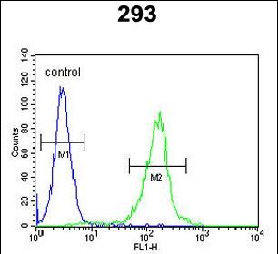 STEA2 Antibody (Center)