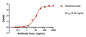 Gantenerumab Antibody