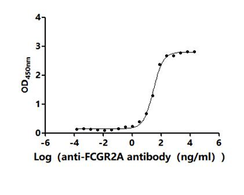 Recombinant Human Low affinity immunoglobulin gamma Fc region receptor II-a (FCGR2A), partial (Active)