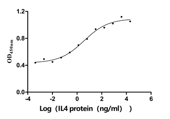 Human IL4 protein