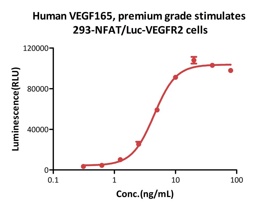 Human VEGF165 Protein