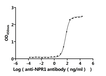 Recombinant Macaca fascicularis Atrial natriuretic peptide receptor 1 (NPR1), partial