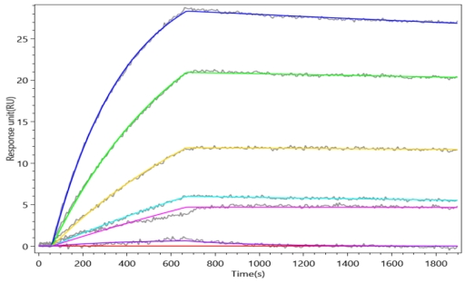 Recombinant Human B-lymphocyte antigen CD20 (MS4A1)-Detergent (Active)