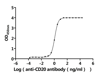Recombinant Human B-lymphocyte antigen CD20 (MS4A1)-Detergent (Active)