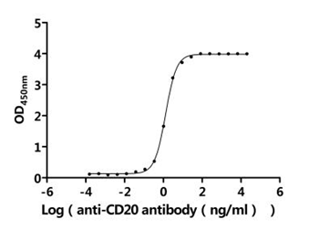 Recombinant Human B-lymphocyte antigen CD20 (MS4A1)-Detergent (Active)