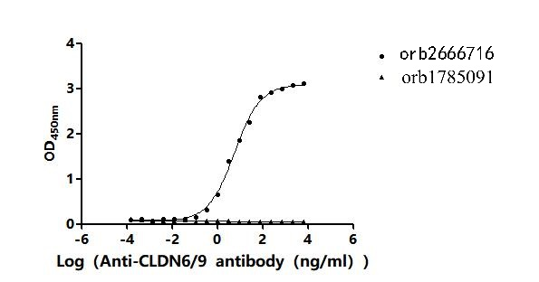 Recombinant Chlorocebus sabaeus Claudin (CLDN6)-VLPs (Active)