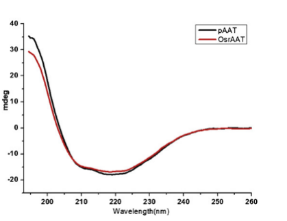 Recombinant Human Alpha-1 Antitrypsin