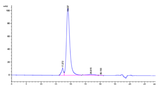 Recombinant Human Fibronectin