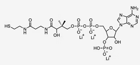 Coenzyme A, Trilithium salt