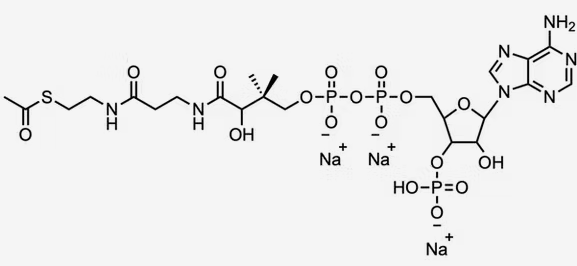 Acetyl Coenzyme A, Trisodium salt