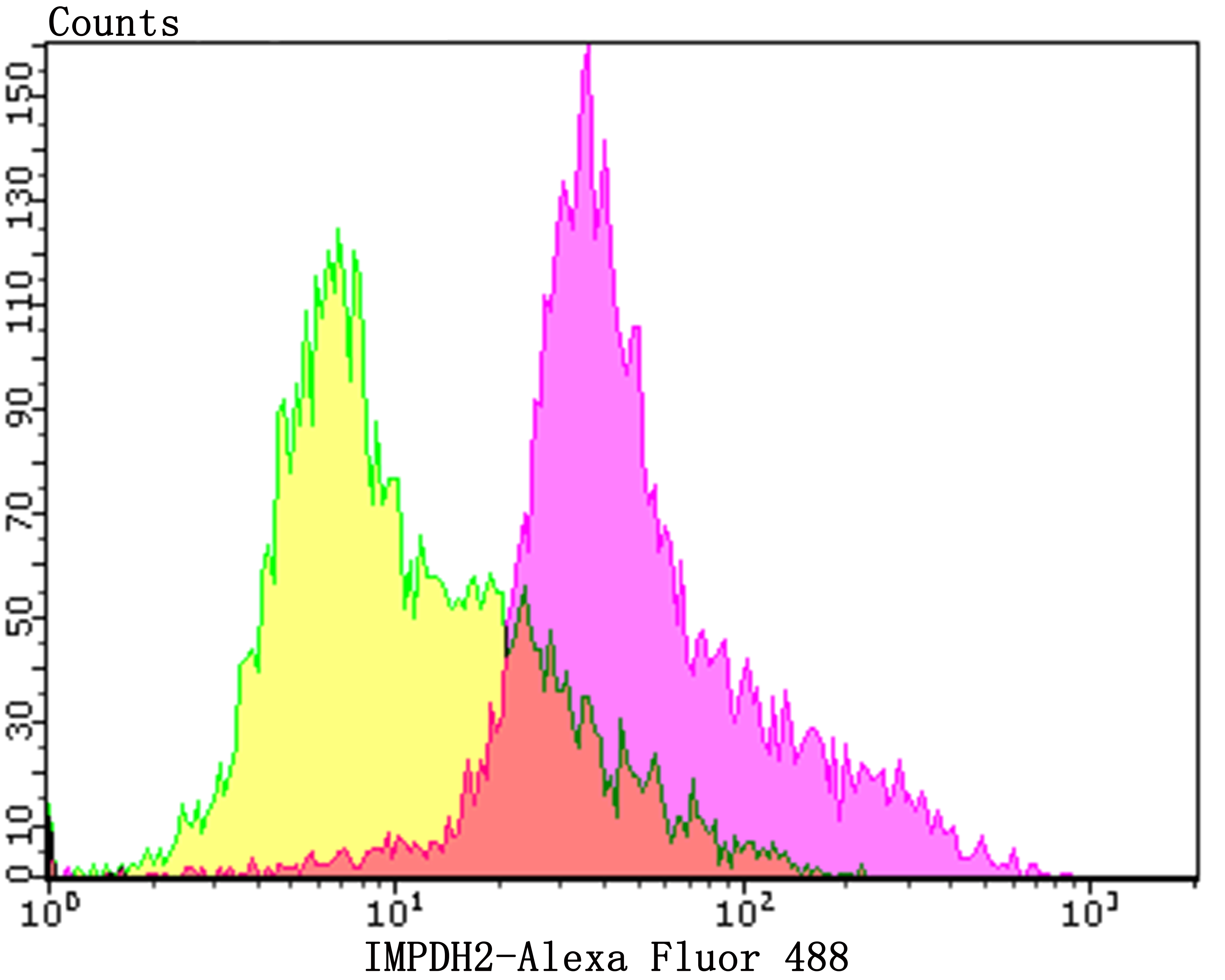 IMPDH2 Antibody