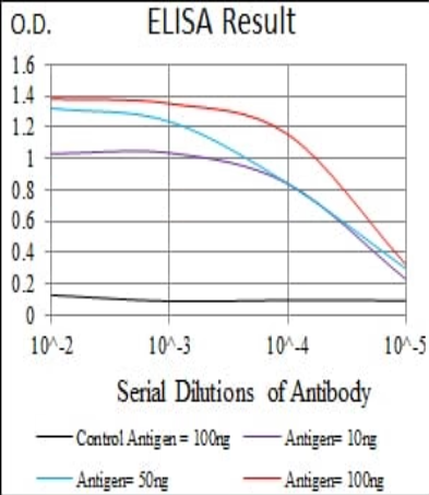 NRCAM Antibody