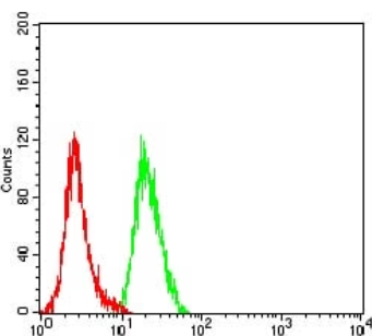 ULBP2 Antibody