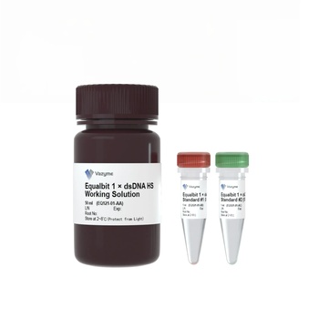 Vazyme - Equalbit 1 × dsDNA HS Assay Ki