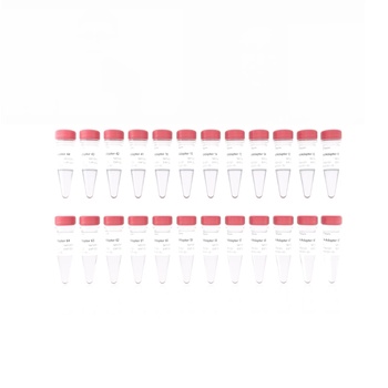 Vazyme - VAHTS PCR-Free DNA Adapters Set 4 for MG