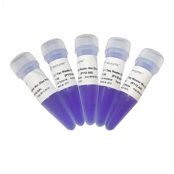 Vazyme - 2 × Taq Master Mix (Dye Plus