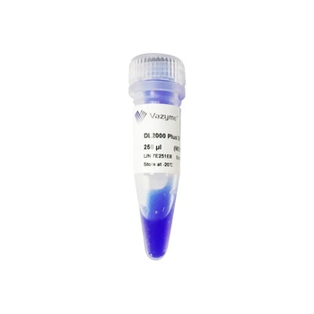 Vazyme - DL2000 Plus DNA Marker