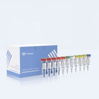 Vazyme - EpiArt DNA Enzymatic Methylation Kit