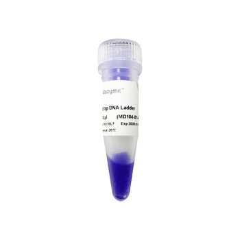 Vazyme - 100 bp DNA Ladder