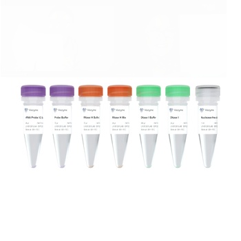Vazyme - Ribo-off rRNA Depletion Kit V2 (Bacteria)