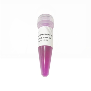 2 × Vazyme LAmp Master Mix (Dye Plus)