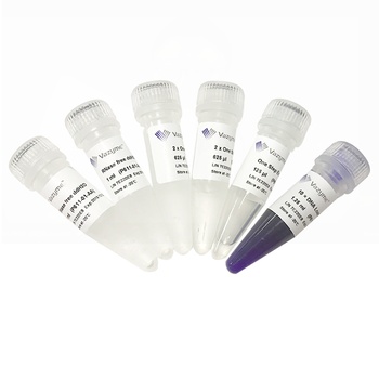 Vazyme - HiScript II One Step RT-PCR Kit