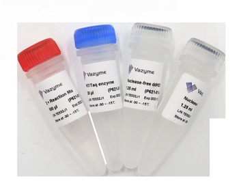 Single Cell Sequence Specific Amplification Kit
