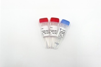 Vazyme - Taq Pro Multiplex DNA Polymerase (High sensitivity)