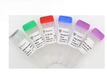 HiScript II 1st Strand cDNA Synthesis Kit (+gDNA wiper)